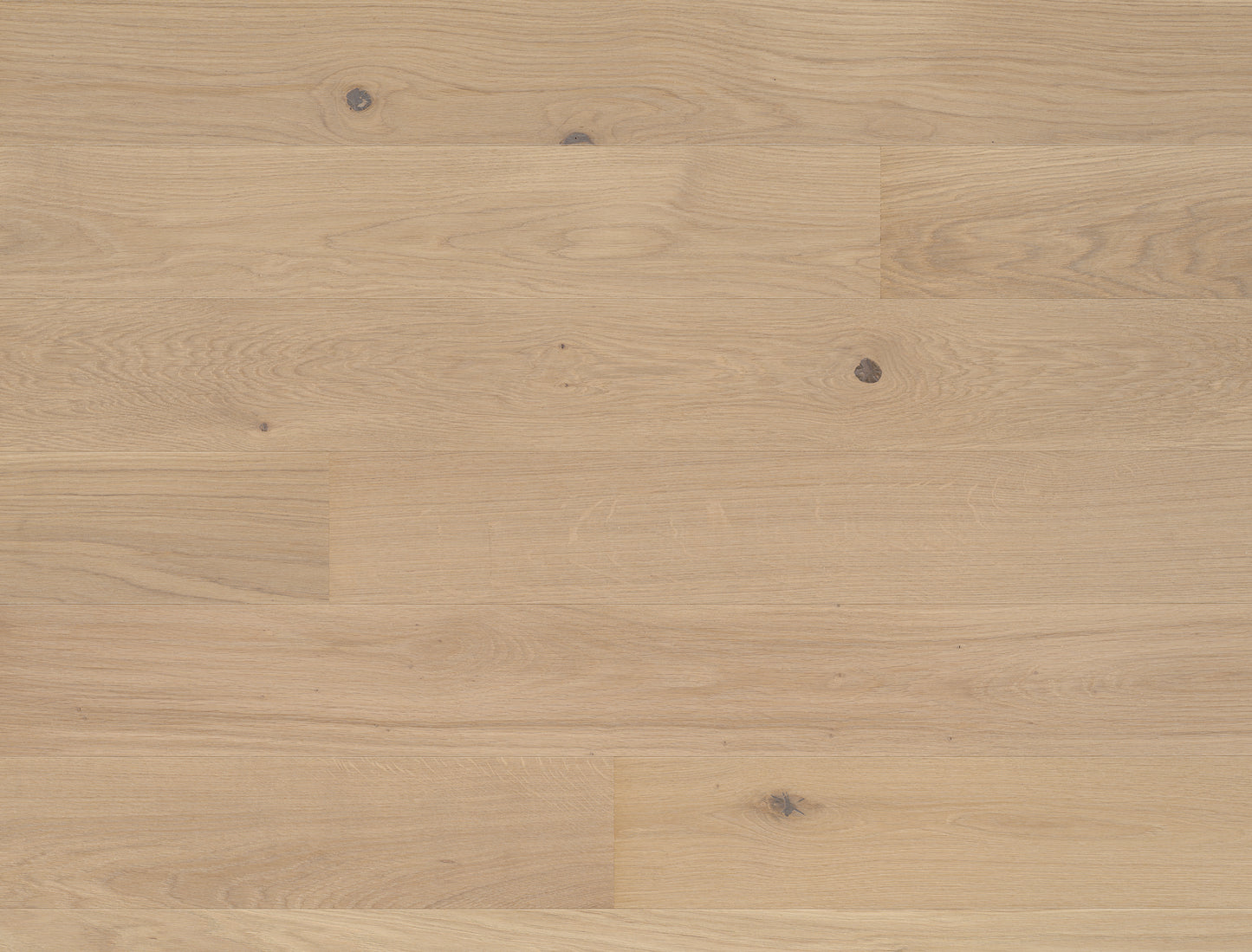Bauwerk Studiopark Avorio 15* – schlanke Eiche-Landhausdiele