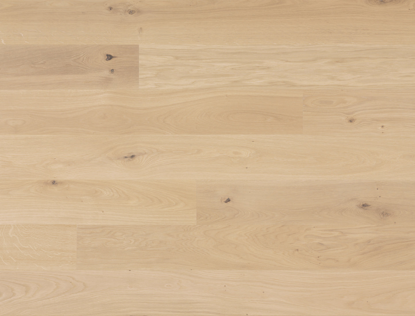 Bauwerk Trendpark 1450 – Eiche-Landhausdiele im modernen Look