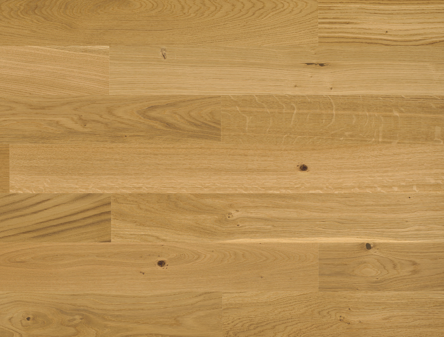 Bauwerk Trendpark 1450 – Eiche-Landhausdiele im modernen Look